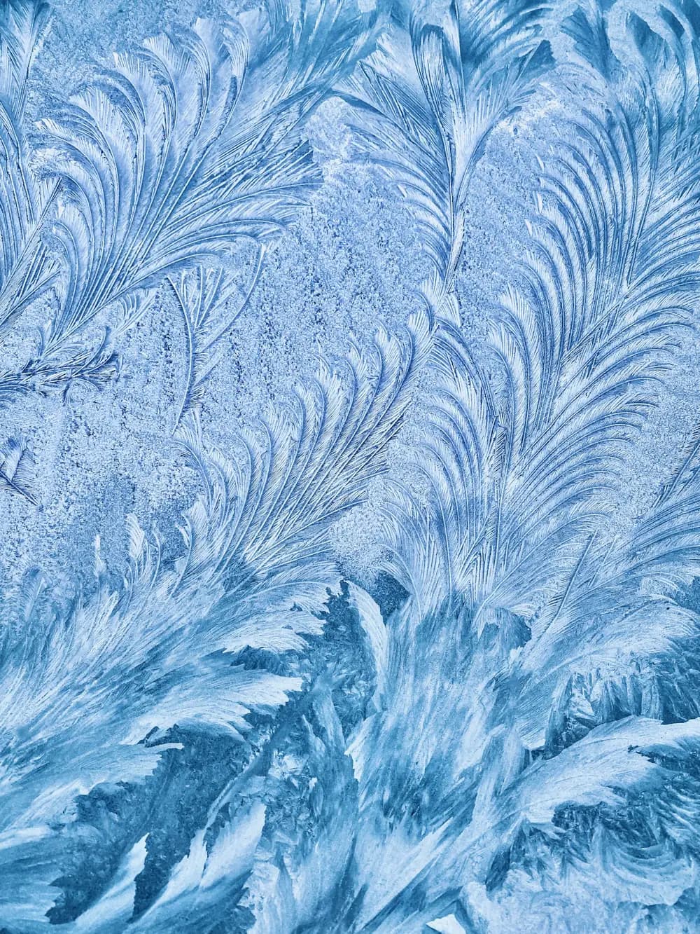 Frost growing across a cold pane of glass.